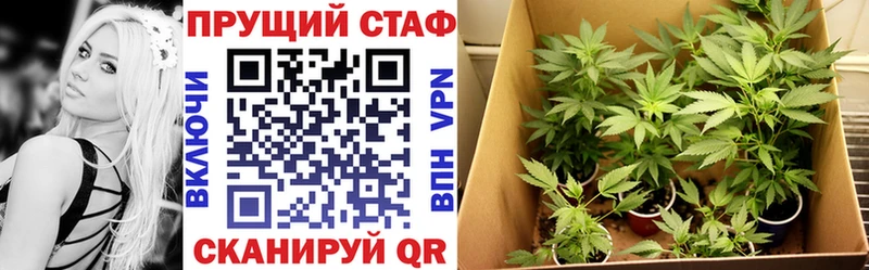 Купить закладку Канабис  Меф  АМФ  Гашиш  Cocaine  Гаврилов-Ям