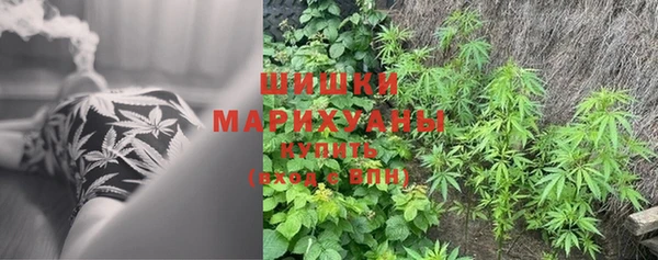 винт Каменск-Шахтинский