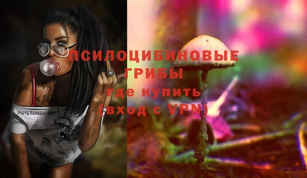 первитин Каменка